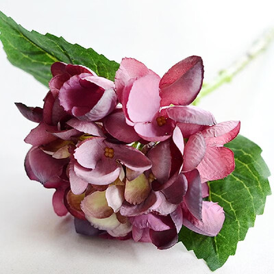 Artificial flower fake flower single sea shell hydrangea flower arrangement small orange wine red wedding home decoration desktop
Artificial flower fake flower single sea shell hydrangea flower arrangement small orange wine red wedding home decoration desktop