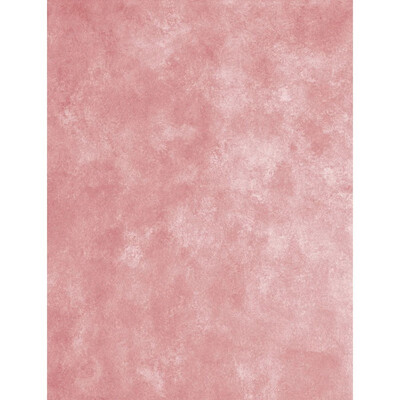 Single Pink Photo Backdrop 57FT Vinyl Fabric Cloth Digital Printing Photo Background s-2367
Single Pink Photo Backdrop 57FT Vinyl Fabric Cloth Digital Printing Photo Background s-2367