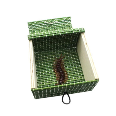 April Fools Day Shock Toys Simulation Cockroach Tricky Joke Toys Magic Props Colorized&Scorpion
April Fools Day Shock Toys Simulation Cockroach Tricky Joke Toys Magic Props Colorized&Scorpion