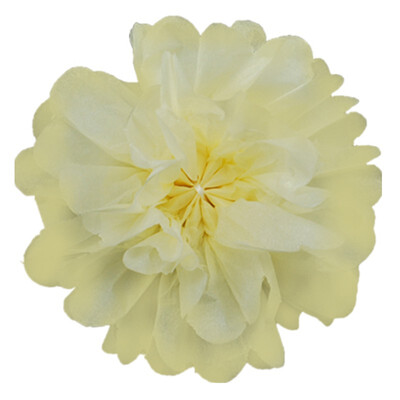 13cm Tissue Pom Poms Paper Flower Ball For Birthday Party Wedding Decoration Baby Shower Bridal Shower Festival Decorations
13cm Tissue Pom Poms Paper Flower Ball For Birthday Party Wedding Decoration Baby Shower Bridal Shower Festival Decorations