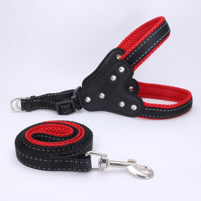 Dog Harness Leash Set Pet Vest Lead For Small Meduim Large Dogs Perfect for Daily Training Walking Collars Leads -L
Dog Harness Leash Set Pet Vest Lead For Small Meduim Large Dogs Perfect for Daily Training Walking Collars Leads -L