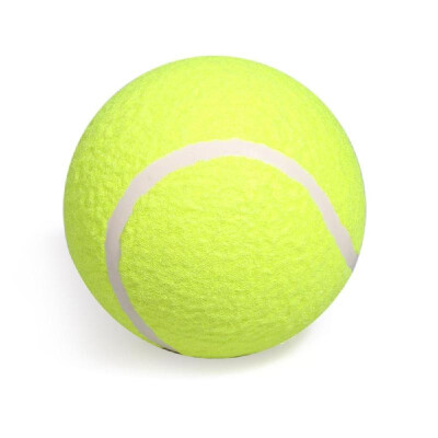 5" Inflatable Training Tennis Ball Indoor Outdoor Practice Ball for Children Adult Pet Fun
5" Inflatable Training Tennis Ball Indoor Outdoor Practice Ball for Children Adult Pet Fun