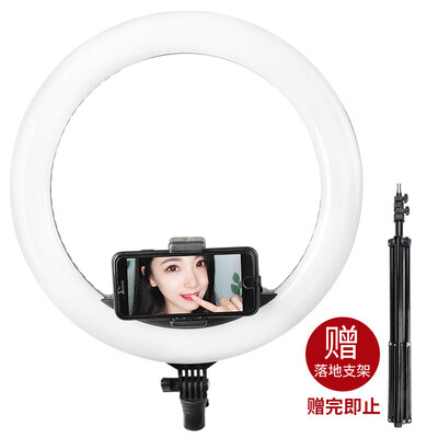 EIRMAI YB-RJ510 Upgrade LED Photography Ring Light Anchor Live Makeup Beauty Light Portrait Selfie Photography Camera Fill Light Mobile Phone Photo Light Black
EIRMAI YB-RJ510 Upgrade LED Photography Ring Light Anchor Live Makeup Beauty Light Portrait Selfie Photography Camera Fill Light Mobile Phone Photo Light Black