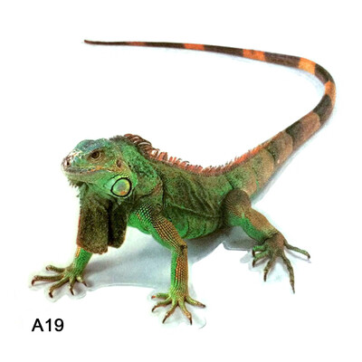 3D Car Stickers Animals Bumper Stickers Spider Lizard Scorpions Decor Car-styling Sticker Auto Motorcycle Decorations
3D Car Stickers Animals Bumper Stickers Spider Lizard Scorpions Decor Car-styling Sticker Auto Motorcycle Decorations