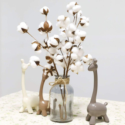 Gobestart 2Pcs 21 inch Naturally Dried Cotton Stems Farmhouse Style Artificial Flower Fill
Gobestart 2Pcs 21 inch Naturally Dried Cotton Stems Farmhouse Style Artificial Flower Fill