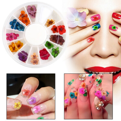 Greensen 12Colors 3D Nail Decoration Real Dried Flower Manicure Acrylic UV Gel Tips Design Accessories
Greensen 12Colors 3D Nail Decoration Real Dried Flower Manicure Acrylic UV Gel Tips Design Accessories