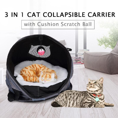 3 in 1 Cat Collapsible Carrier with Cushion Scratch Ball Tunnel Foldable Shelter for Cat Kitten Dogs
3 in 1 Cat Collapsible Carrier with Cushion Scratch Ball Tunnel Foldable Shelter for Cat Kitten Dogs