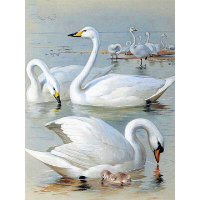 Diamond Painting New Square Stones Cartoon Diamond Mosaic Sale Eye Hobby And Handicraft Pictures With Rhinestones
Diamond Painting New Square Stones Cartoon Diamond Mosaic Sale Eye Hobby And Handicraft Pictures With Rhinestones