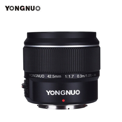 YONGNUO YN425mm F17M Large Aperture Auto FocusManual Focus Lens Standard Prime Lens for M43 Mount DSLR Cameras Compatible with
YONGNUO YN425mm F17M Large Aperture Auto FocusManual Focus Lens Standard Prime Lens for M43 Mount DSLR Cameras Compatible with