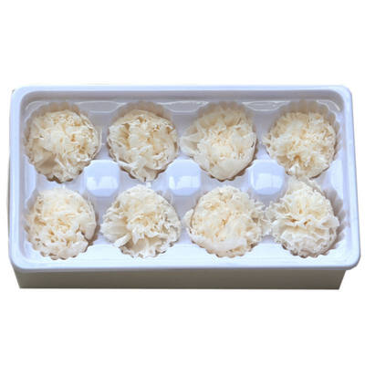 Handmade Preserved Fresh Flowers Gift Pack Immortal Flower Eternal Carnation Heads for Gift
Handmade Preserved Fresh Flowers Gift Pack Immortal Flower Eternal Carnation Heads for Gift