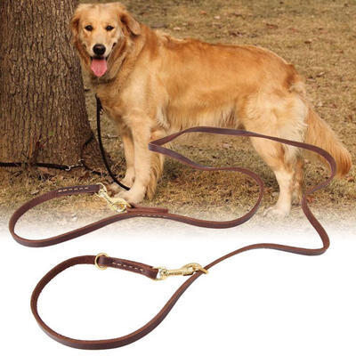 Greensen Dog Walking Leash Pet Multifunction Traction Rope Training Running Adjustable
Greensen Dog Walking Leash Pet Multifunction Traction Rope Training Running Adjustable