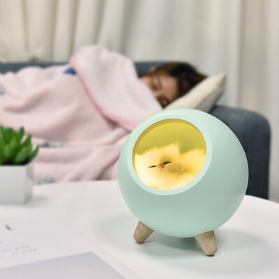 Gobestart Cat Pet House Ambience Lamp USB Charging Cute Cartoon MINI LED Night Light
Gobestart Cat Pet House Ambience Lamp USB Charging Cute Cartoon MINI LED Night Light