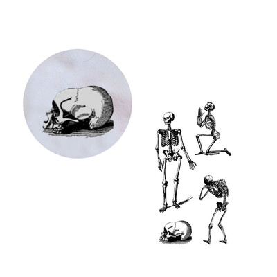〖Follure〗Waterproof Temporary Tattoo Sticker Scar Terror Wound Blood Injury Halloween Hot
〖Follure〗Waterproof Temporary Tattoo Sticker Scar Terror Wound Blood Injury Halloween Hot