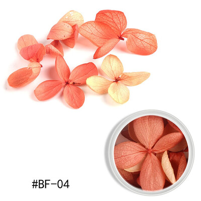 Toponeto Nail Ornament Dry Flower Color Petals Ziyang Flower Nail Dry Nail DIY Decoration
Toponeto Nail Ornament Dry Flower Color Petals Ziyang Flower Nail Dry Nail DIY Decoration