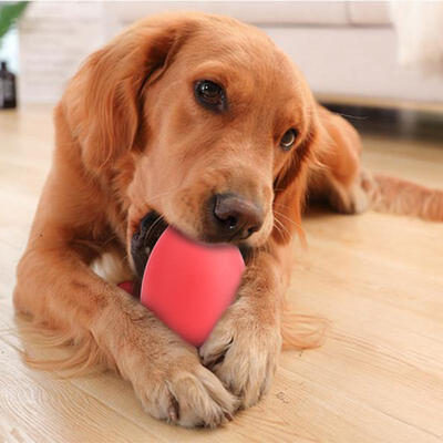 Greensen Red Rubber Leakage Food Ball Pet Toy Teeth Cleaning Protection Biting Chewing Playing Dog Toy
Greensen Red Rubber Leakage Food Ball Pet Toy Teeth Cleaning Protection Biting Chewing Playing Dog Toy