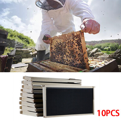 Siaonvr Beehive 10 Frame Kit 10 Foundation 10 Deep Frames For Langstroth Beekeeping Pine
Siaonvr Beehive 10 Frame Kit 10 Foundation 10 Deep Frames For Langstroth Beekeeping Pine