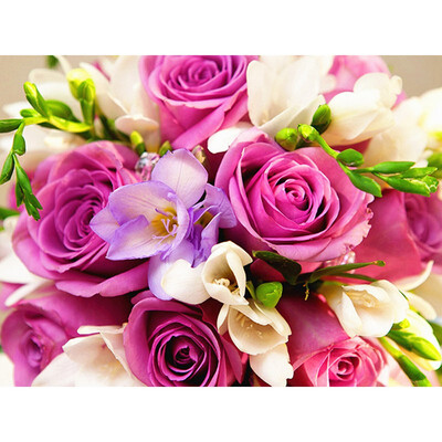 5D DIY Diamond Embroidery Sale Flower Diamond Painting Full Square Pictures Of Rhinestones Diamond Mosaic Gift
5D DIY Diamond Embroidery Sale Flower Diamond Painting Full Square Pictures Of Rhinestones Diamond Mosaic Gift