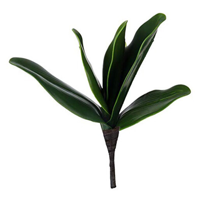 Plastic Simulated Wide Leaves Fake Plants Artificial Greenery Ofiice Home Wedding Decorations
Plastic Simulated Wide Leaves Fake Plants Artificial Greenery Ofiice Home Wedding Decorations