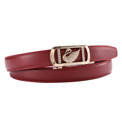 38cm Cobra Tactical Nylon Belt Male Outdoor Quick Dry Braided Belt Alloy Buckle Belt
38cm Cobra Tactical Nylon Belt Male Outdoor Quick Dry Braided Belt Alloy Buckle Belt