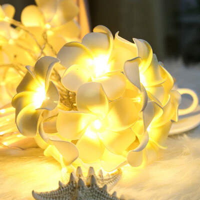 Siaonvr Vintage Frangipani Flower LED Fairy Light String Battery Home Party Wedding
Siaonvr Vintage Frangipani Flower LED Fairy Light String Battery Home Party Wedding