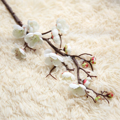 FUNNYBUNNY Plum Blossom Artificial Flowers Simulation Flower Table Decoration Accessories Party Beach Theme Decorations
FUNNYBUNNY Plum Blossom Artificial Flowers Simulation Flower Table Decoration Accessories Party Beach Theme Decorations