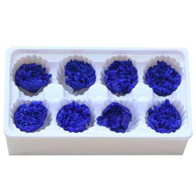 Handmade Preserved Fresh Flowers Gift Pack Immortal Flower Eternal Carnation Heads for Gift
Handmade Preserved Fresh Flowers Gift Pack Immortal Flower Eternal Carnation Heads for Gift