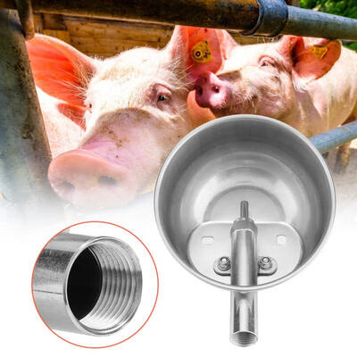 Greensen Stainless Steel Pig Drinking Water Bowl Piglets Automatic Drinking Fountains Feeder Equipment
Greensen Stainless Steel Pig Drinking Water Bowl Piglets Automatic Drinking Fountains Feeder Equipment