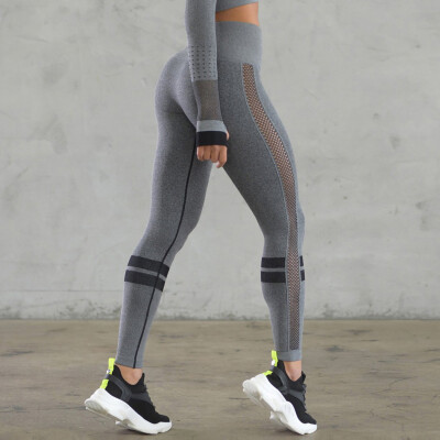 Gobestart Women Seamless Solid Yoga Sports Tight Pants Hips High Waist Thread Pant
Gobestart Women Seamless Solid Yoga Sports Tight Pants Hips High Waist Thread Pant