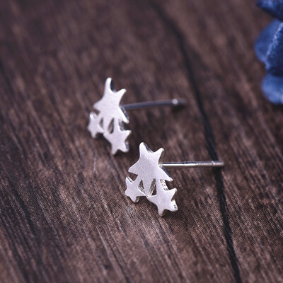 2017 New Fashion Women Earrings Brushed Geometric Star Stud Earrings for Women Party Gifts e014
2017 New Fashion Women Earrings Brushed Geometric Star Stud Earrings for Women Party Gifts e014