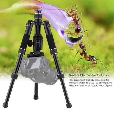 Andoer TP166C Portable Lightweight Carbon Fiber Table Mini Tripod with Ball Head Kit 3-Section Adjustable Height Fold Only 21cm fo
Andoer TP166C Portable Lightweight Carbon Fiber Table Mini Tripod with Ball Head Kit 3-Section Adjustable Height Fold Only 21cm fo