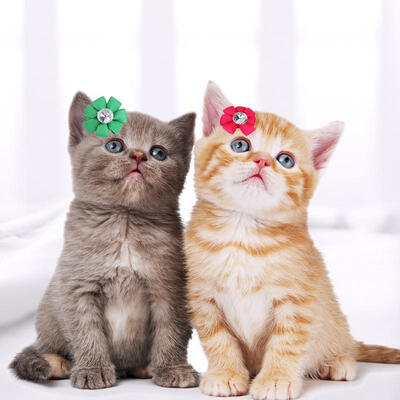 Greensen 24pcs Mix Color Pet Dog Cat Flower Hair Rubber Bands Grooming Accessories Decoration
Greensen 24pcs Mix Color Pet Dog Cat Flower Hair Rubber Bands Grooming Accessories Decoration