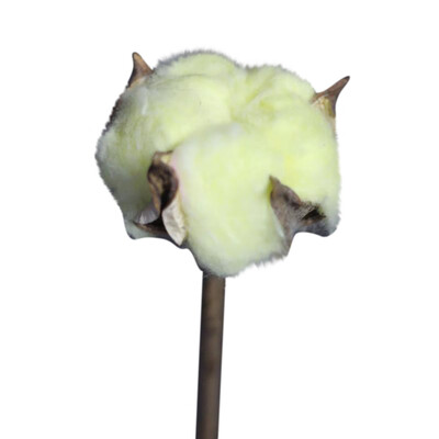 〖Follure〗Artificial Cotton Flower Single Branch Simulation Flower DIY Deco For Home Party
〖Follure〗Artificial Cotton Flower Single Branch Simulation Flower DIY Deco For Home Party