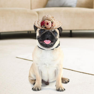 Greensen Cute Summer Pet Dog Cat Mini Straw Sombrero Sun Hat with Colored Flower Collar Decor
Greensen Cute Summer Pet Dog Cat Mini Straw Sombrero Sun Hat with Colored Flower Collar Decor