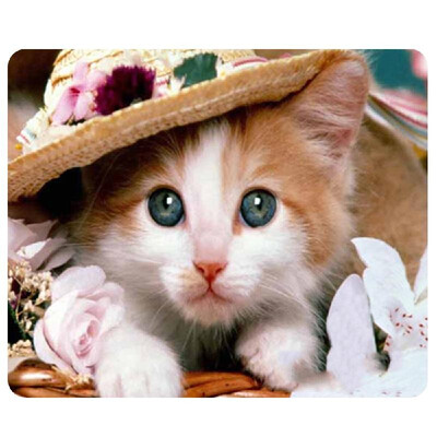 CAT-9 Mouse Pad Cute Cat Picture Anti-Slip Gaming Mouse Mat for PC Computer Laptop MackBook
CAT-9 Mouse Pad Cute Cat Picture Anti-Slip Gaming Mouse Mat for PC Computer Laptop MackBook