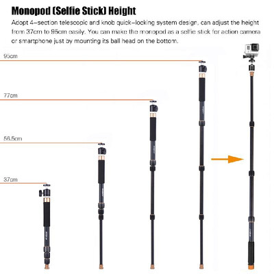 Andoer Q148B Portable Photography Aluminum Alloy Camera Monopod Also As Selfie Stick 4-Section Telescopic Twist-Locking System 32c
Andoer Q148B Portable Photography Aluminum Alloy Camera Monopod Also As Selfie Stick 4-Section Telescopic Twist-Locking System 32c