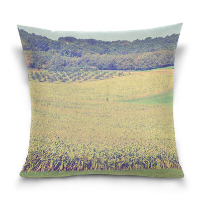 ALAZA Throw Pillow Case Decorative Pillow Covers 16 X 16 inch Field View Pattern Pillowcase
ALAZA Throw Pillow Case Decorative Pillow Covers 16 X 16 inch Field View Pattern Pillowcase