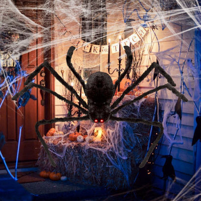 125cm Super big plush spider made of wire&plush black&multicolour style for party or halloween decorations 1Pcs
125cm Super big plush spider made of wire&plush black&multicolour style for party or halloween decorations 1Pcs