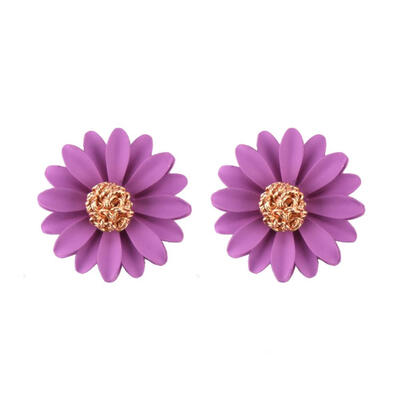 Fashion Round Earrings for Women Spray Geometric Metal Statement Brincos Big Leaf Flower Earrings Fashion Party Jewelry Gift
Fashion Round Earrings for Women Spray Geometric Metal Statement Brincos Big Leaf Flower Earrings Fashion Party Jewelry Gift
