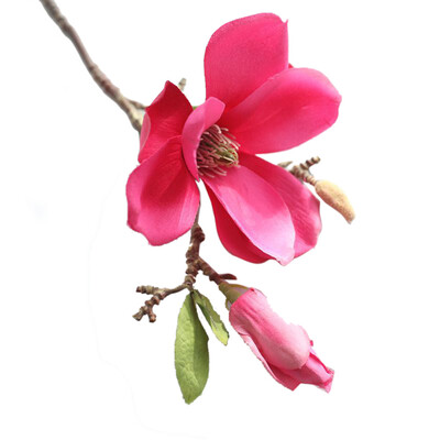 Gobestart Artificial Fake Flowers Leaf Magnolia Floral Wedding Bouquet Party Home Decor
Gobestart Artificial Fake Flowers Leaf Magnolia Floral Wedding Bouquet Party Home Decor