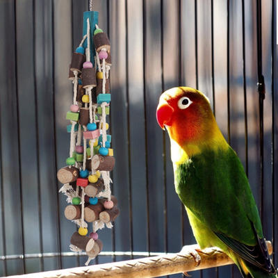 Greensen Wood Bird Pets Hanging Swing Color Activity Play Rope Grinding Chew Bite Cage Toy for Parrot
Greensen Wood Bird Pets Hanging Swing Color Activity Play Rope Grinding Chew Bite Cage Toy for Parrot