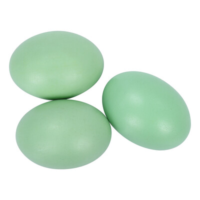Gobestart Unfinished Flat Bottom Wooden Easter Craft Eggs Display Smooth Ready To Paint And Decorate
Gobestart Unfinished Flat Bottom Wooden Easter Craft Eggs Display Smooth Ready To Paint And Decorate