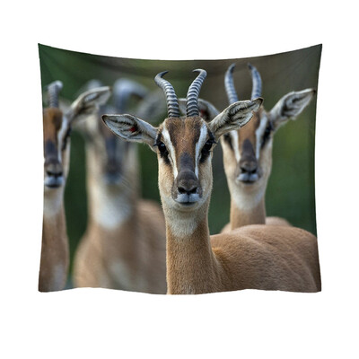 Toponeto Fashion Tapestry Planet Animals Pattern Style Decorative Tapestry Home Decor
Toponeto Fashion Tapestry Planet Animals Pattern Style Decorative Tapestry Home Decor