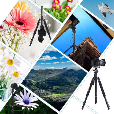 ZOMEI Q555 63 Inch Lightweight Aluminum Alloy Travel Portable Camera Tripod with Ball Head Quick Release Plate Carry Bag for Can
ZOMEI Q555 63 Inch Lightweight Aluminum Alloy Travel Portable Camera Tripod with Ball Head Quick Release Plate Carry Bag for Can