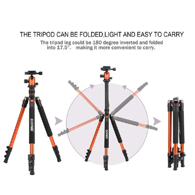 ZOMEI Q555 63 Inch Lightweight Aluminum Alloy Travel Portable Camera Tripod with Ball Head Quick Release Plate Carry Bag for Can
ZOMEI Q555 63 Inch Lightweight Aluminum Alloy Travel Portable Camera Tripod with Ball Head Quick Release Plate Carry Bag for Can