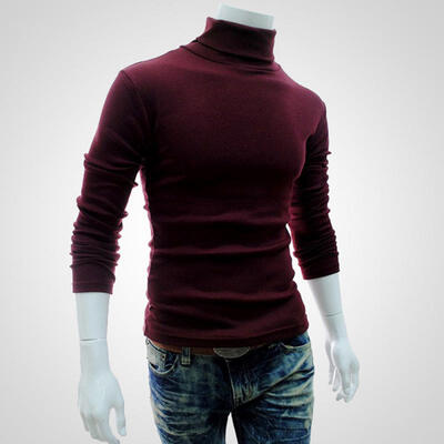 Hedging Solid Style Men Boutique Long Sleeve T Shirt Fashion Casual Slim High Collar Bottoming Shirts
Hedging Solid Style Men Boutique Long Sleeve T Shirt Fashion Casual Slim High Collar Bottoming Shirts