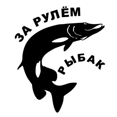 Tailored Stickers Web Cam Funny Fishing Bumper StickersAnd Decals Car Styling Accessories
Tailored Stickers Web Cam Funny Fishing Bumper StickersAnd Decals Car Styling Accessories
