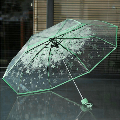 Siaonvr Transparent Clear Umbrella Cherry Blossom Mushroom Apollo Sakura Umbrella Blue
Siaonvr Transparent Clear Umbrella Cherry Blossom Mushroom Apollo Sakura Umbrella Blue