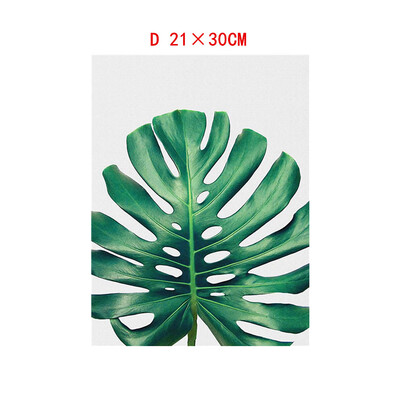 Gobestart Leaf Plant Leaf Tortoise Decorative Canvas Painting Childrens Room Hanging Painting Spray Painting
Gobestart Leaf Plant Leaf Tortoise Decorative Canvas Painting Childrens Room Hanging Painting Spray Painting