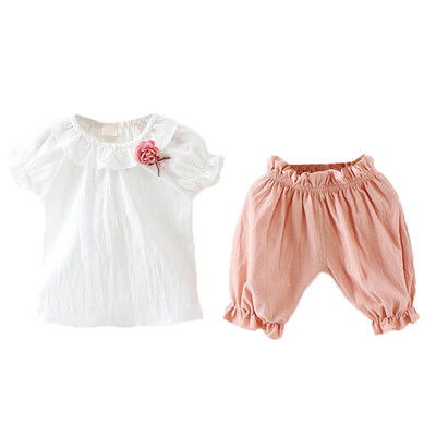 Baby Girls Clothes Set Summer Short Sleeve T-shirt Shorts Childrens Flower Suits Cotton Flowers T-shirt Girls Clothes Set
Baby Girls Clothes Set Summer Short Sleeve T-shirt Shorts Childrens Flower Suits Cotton Flowers T-shirt Girls Clothes Set