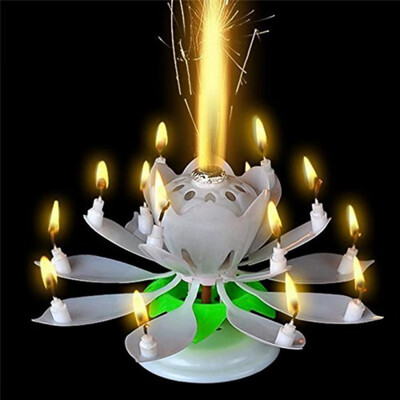 DTY Party Decorations Art Musical Candle Lotus Flower Happy Birthday Party Gift Rotating Lights Decoration 14 Candles Lamp
DTY Party Decorations Art Musical Candle Lotus Flower Happy Birthday Party Gift Rotating Lights Decoration 14 Candles Lamp